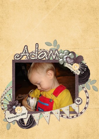 Adam 2008