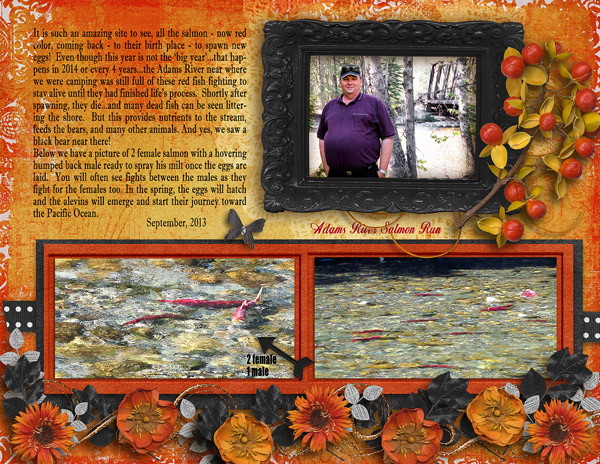 Adams River Salmon Run page 2