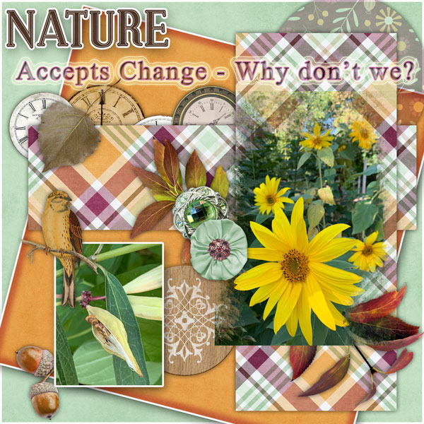 Adaptive Nature