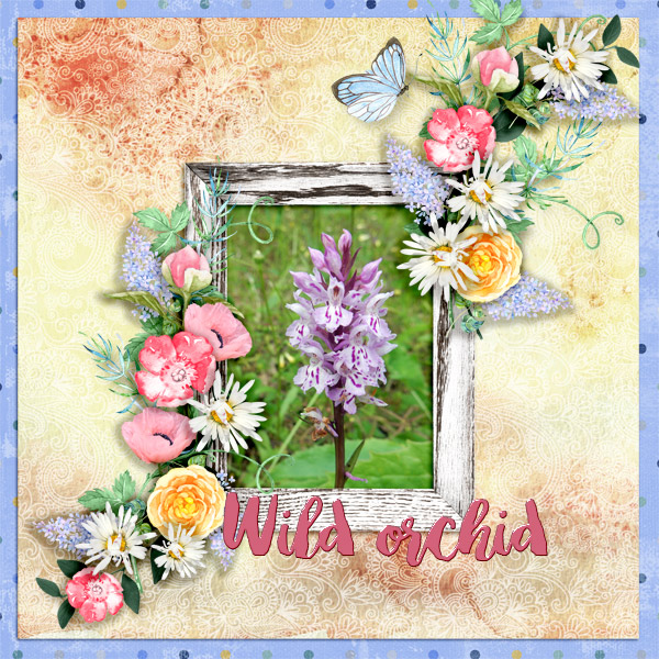 ADB_InTheMeadow_DD_600_Pia