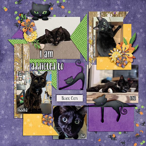 addicted-to-blk-cats