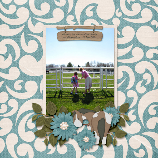 Admiring the Horses