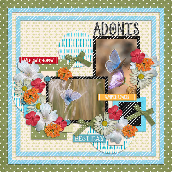 Adonis