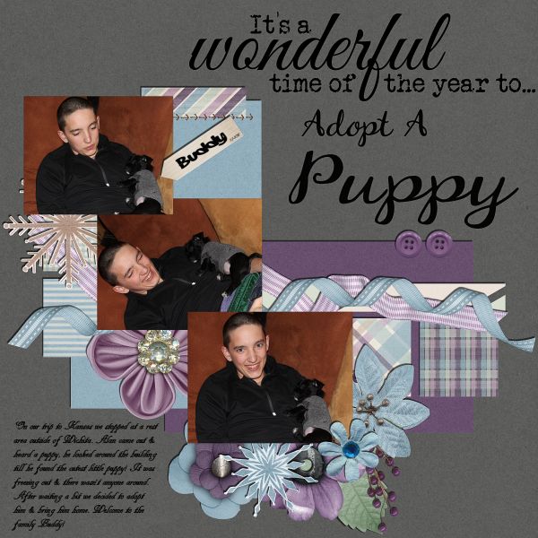 Adopt