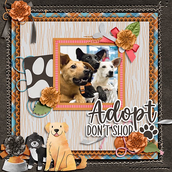 Adopt