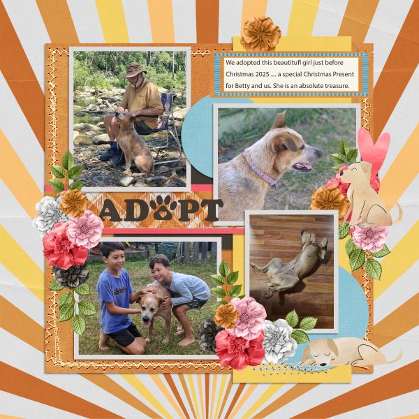 Adopt