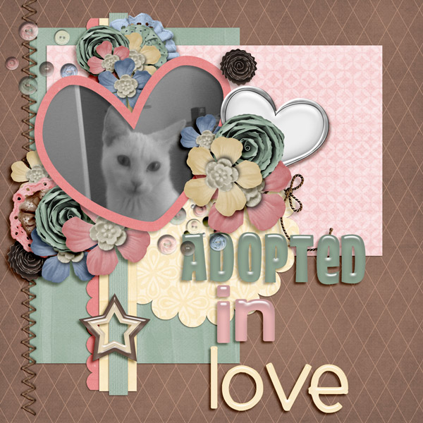Adopted In Love