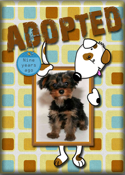 Adopted