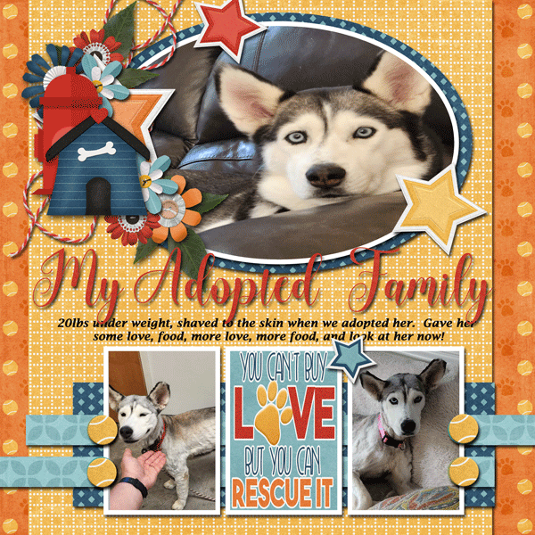 Adoption