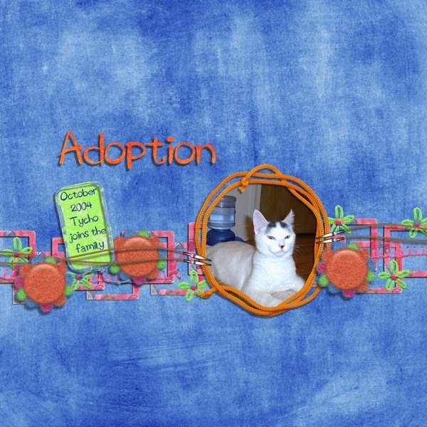 Adoption