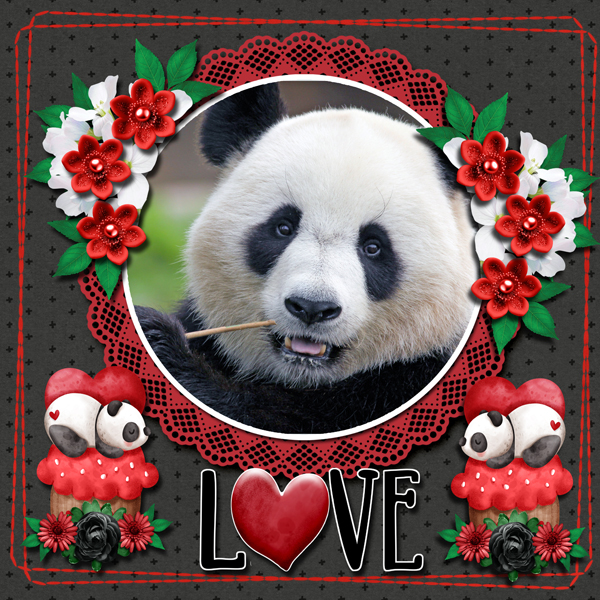 Adorable Panda