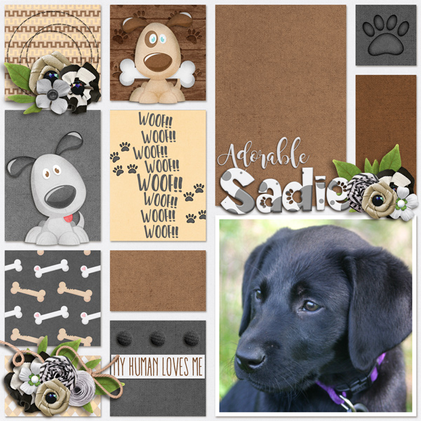 Adorable Sadie