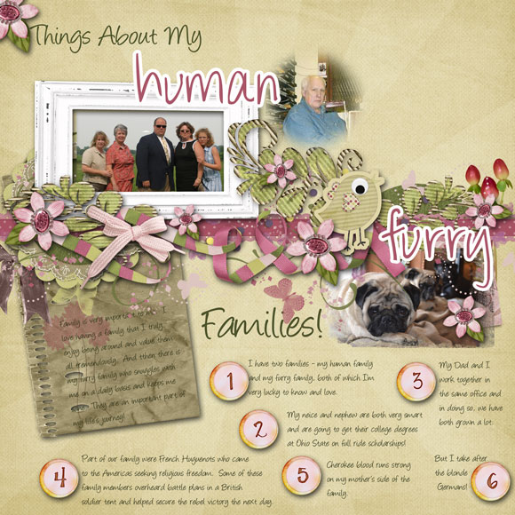 adsr 6.1 - families