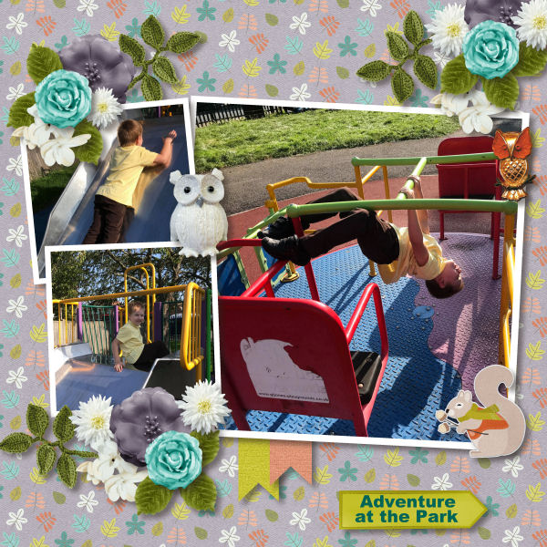 Adventure at the Park
