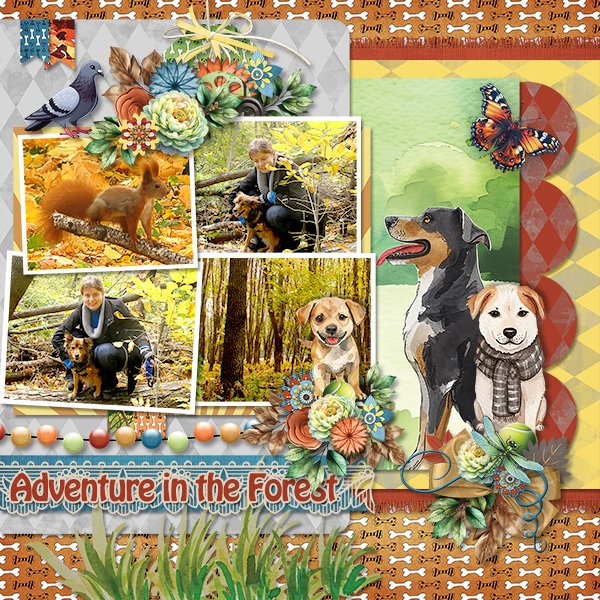 Adventure In The Forest_ollitko