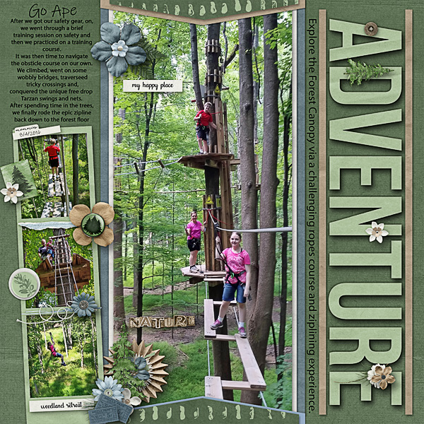 Adventure in the Treetops