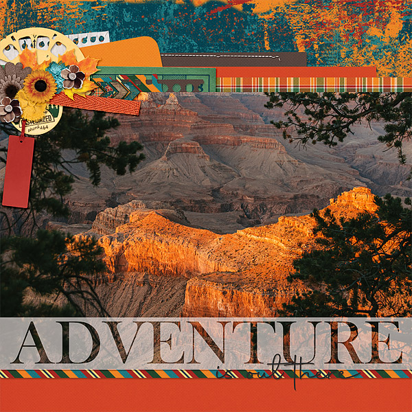 Adventure is Out There