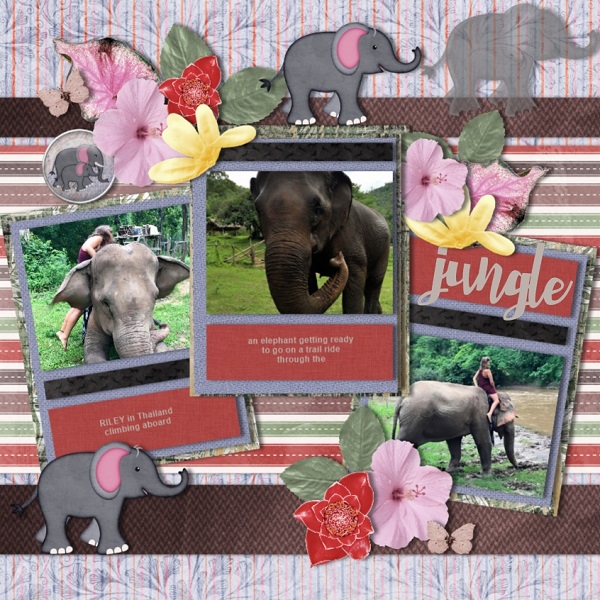 Adventure on an Elephant