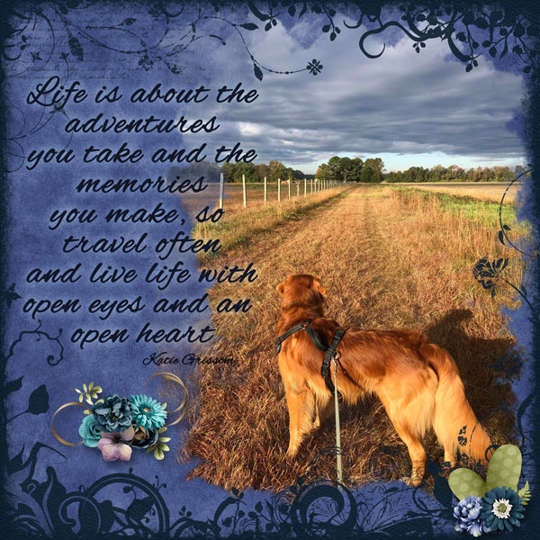 Adventures and Memories