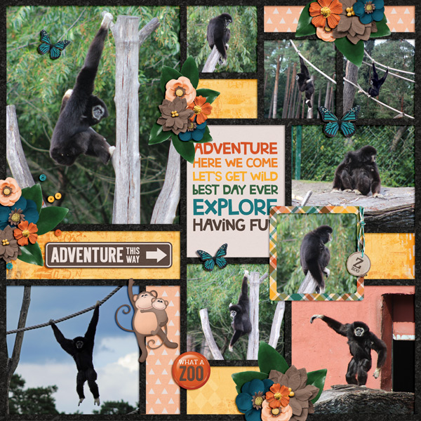 adventures at the zoo