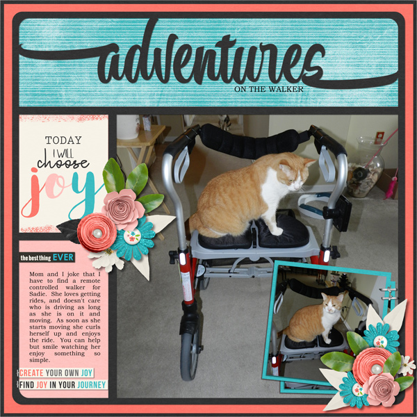 Adventures on the Walker