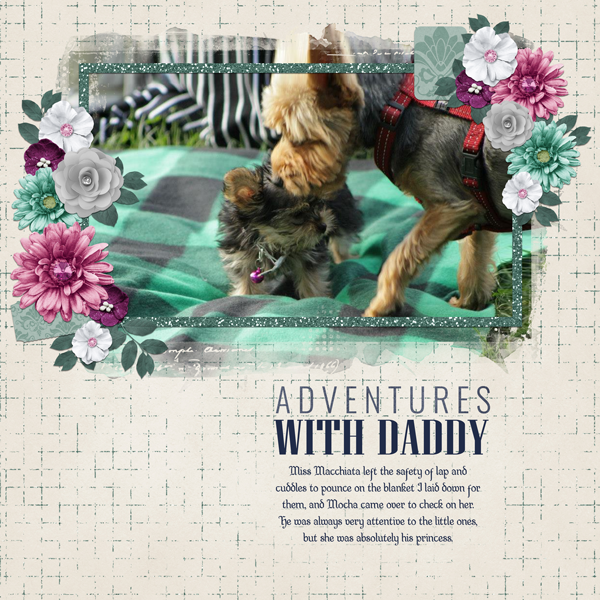 Adventures with Daddy
