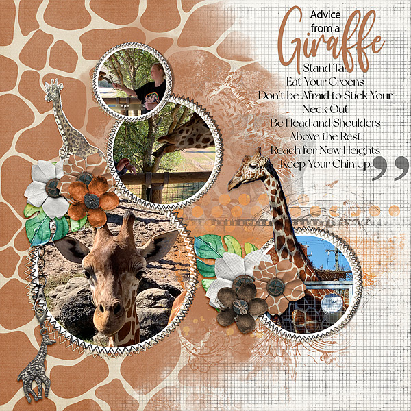 Advice from a Giraffe