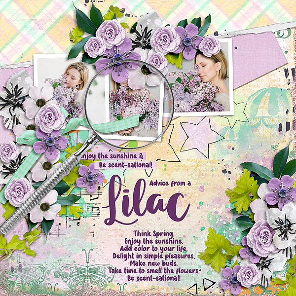 Advice from a Lilac