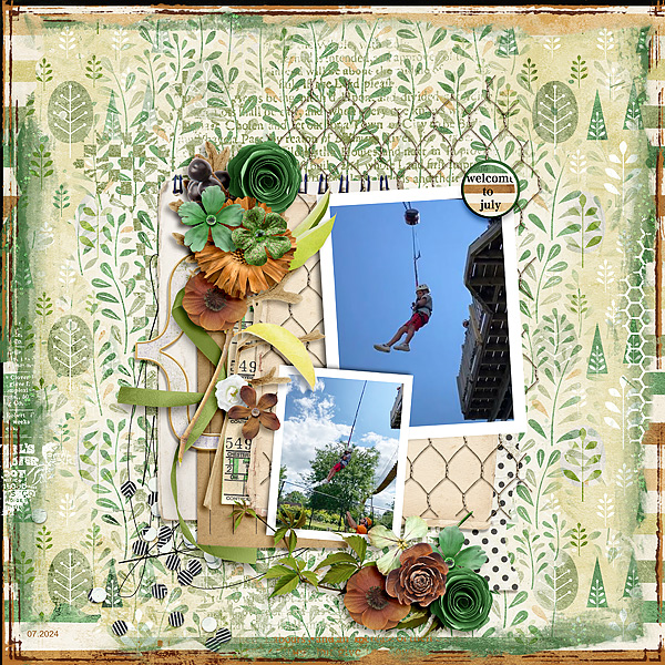 Aerial Adventure Course 1