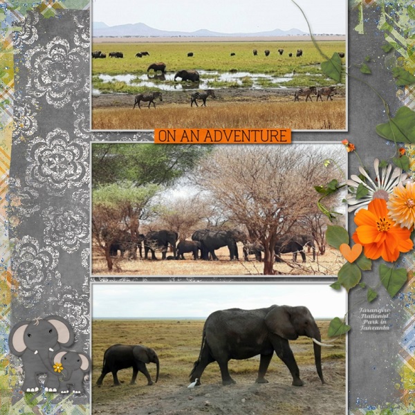 Africa