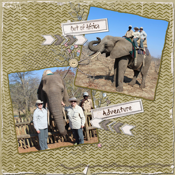 African Adventure