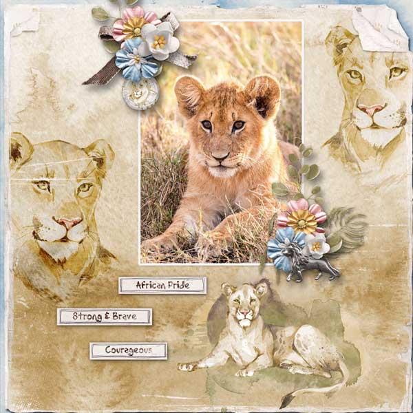 african-pride-kristmess