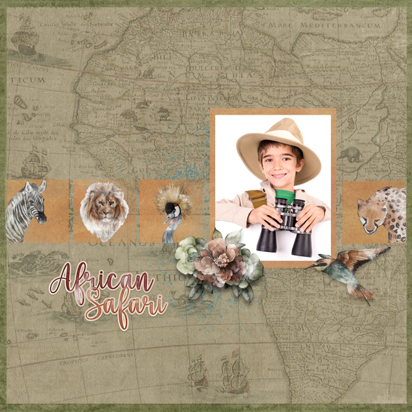 African Safari time
