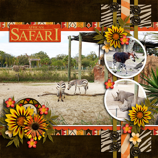 African Safari