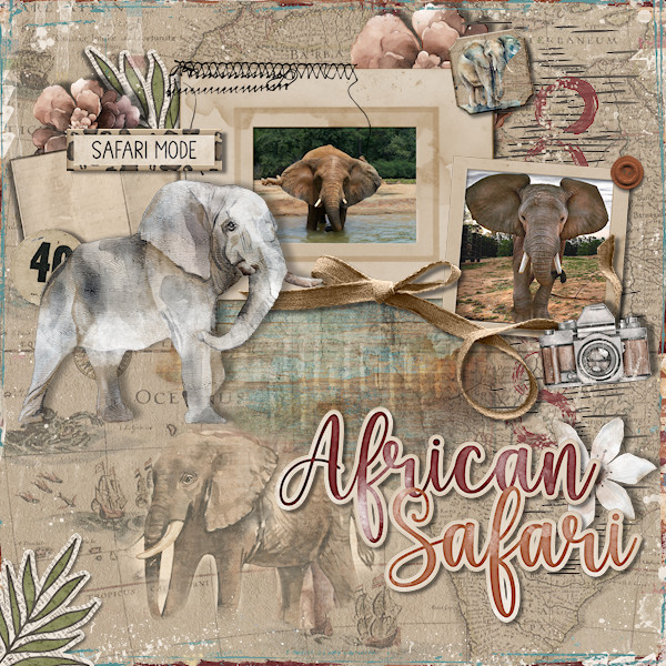 African Safari