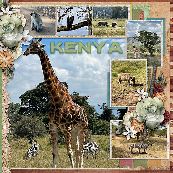 African Safari