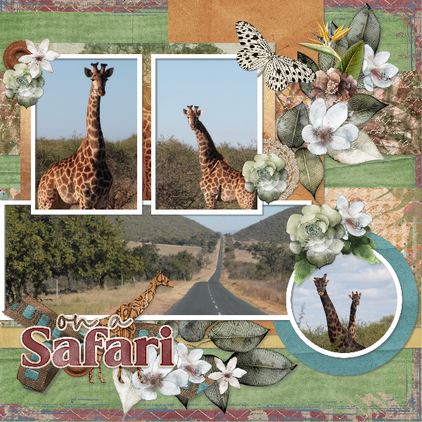 African safari