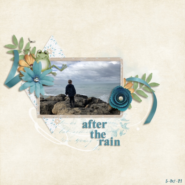 After the rain