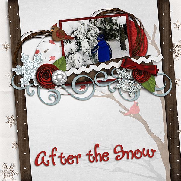 After the Snow