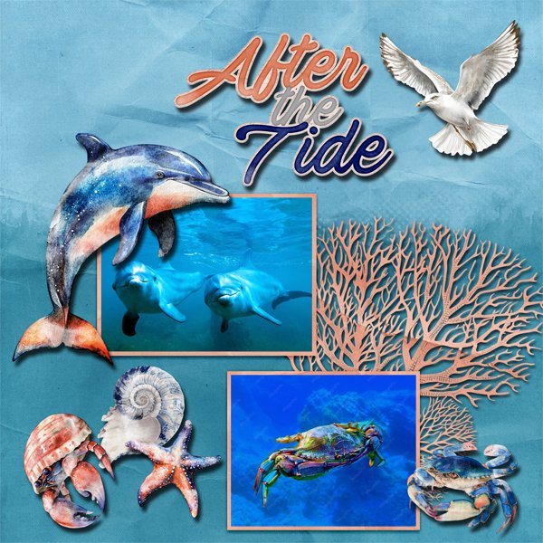 After The Tide