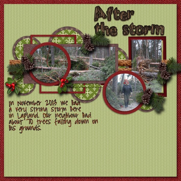After_the_storm