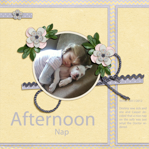 Afternoon Nap