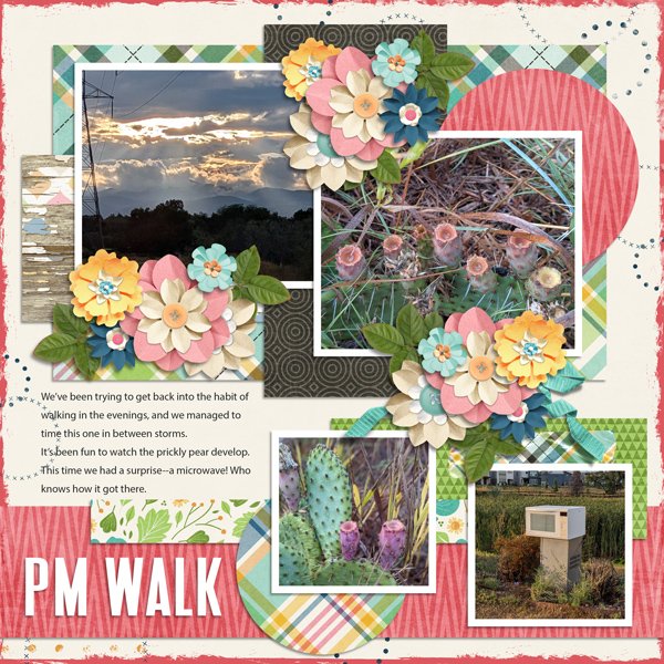 Afternoon Walk with Prickly Pear and a microwave
