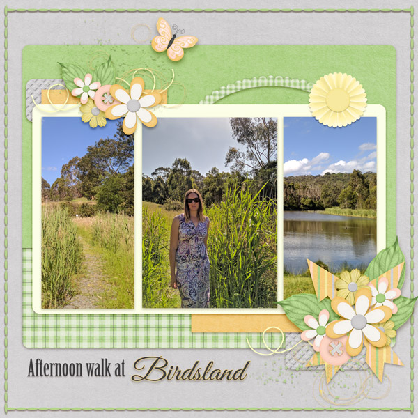 Afternoon Walk