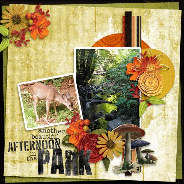 AfternoonInThePark
