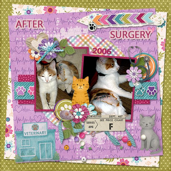 AfterSurgery_ollitko_600.jpg