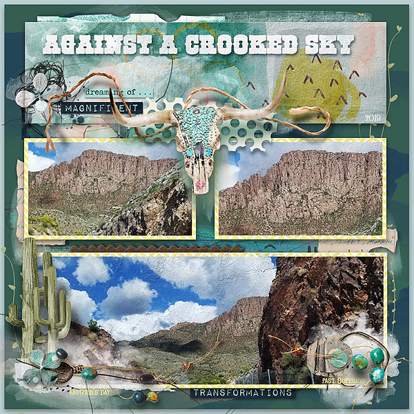 Against a Crooked Sky