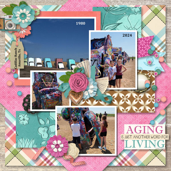 Aging Is Another Word for Living
