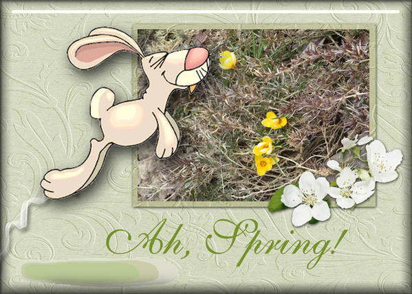 Ah, Spring!