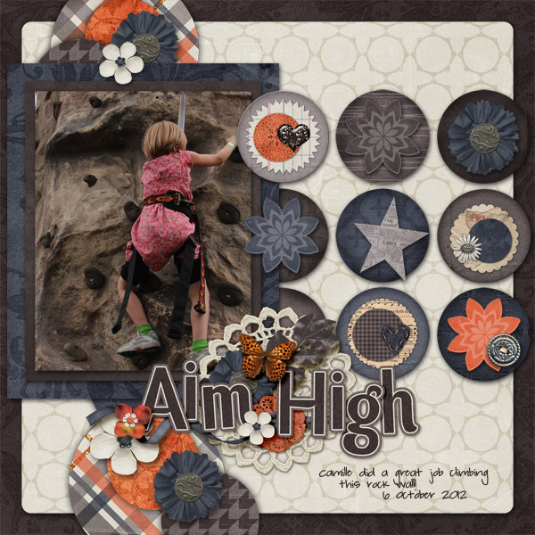 Aim High